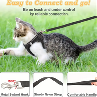 Pet Travel Play Bundle