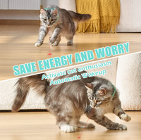 Laserlight Cat Collar, the Ultimate Feline Playtime Accessory for Endless