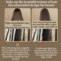 Hair Dryer, Electric Hair Care Dryer, Negative Ion Hair Care with Hot and