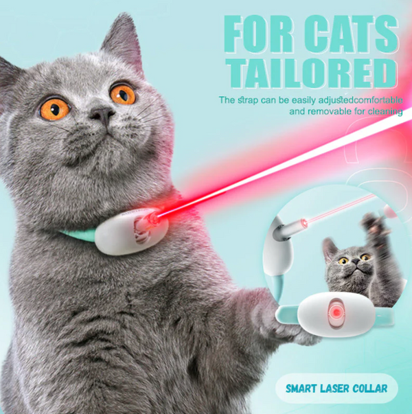 Laserlight Cat Collar, the Ultimate Feline Playtime Accessory for Endless