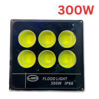 Led Floodlight 50w 100w 200w 400w 500w Ac165-265v Spotlight Ip66 Waterproof