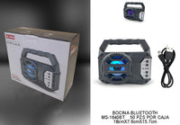 Bluetooth Rechargeable Speaker with FM Radio, TF Memory Card Reader and USB