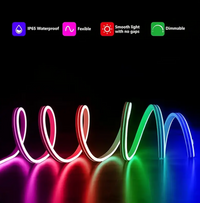 Lqhzmyy RGB Neon Light Strip with 24-Key Touchscreen Remote - USB-Powered