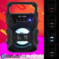 Bluetooth Rechargeable Speaker with FM Radio, TF Memory Card Reader and USB