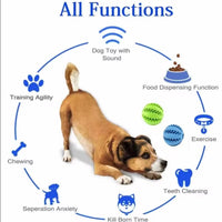 Pet Travel Play Bundle