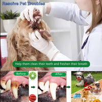Pet Travel Play Bundle
