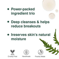 Lanmic Lavish Pimple Control Facial Kit Tea Extract Oil Pimple Control Face