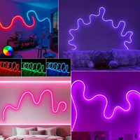 Neon LED Strip Light 5 Meter Waterproof Narrow Lamp Neon Sign Light 2835