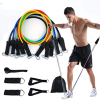 Resistance Bands Set with Handle (11pcs) - Workout Bands with 5 Stackable
