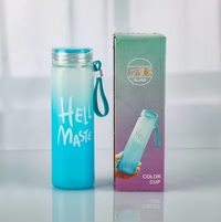 Glass Water Bottle Color Hello Master with Handle