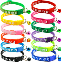 Pet Walk & Play Bundle