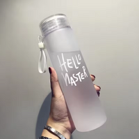 Glass Water Bottle Color Hello Master with Handle