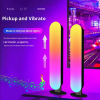 2pcs LED Strip Lights for Room, 24 Keys Ir Remote Control Remote Control