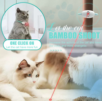 Laserlight Cat Collar, the Ultimate Feline Playtime Accessory for Endless