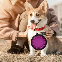 Durable Foldable Pet Feeding Bowl Compact Tpr Design for Dogs and Cats