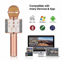 Professional Bluetooth Wireless Microphone Speaker Handheld Microphone