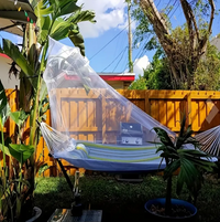 Mosquito Net Bed Canopy Decorative Insect Shield for Adults, No-Opening