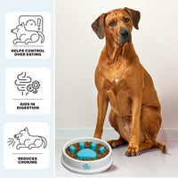 Pet Travel Play Bundle