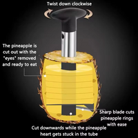 1pc Stainless Steel Easy to Use Pineapple Peeler Accessories Pineapple
