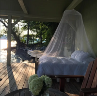 Mosquito Net Bed Canopy Decorative Insect Shield for Adults, No-Opening