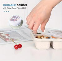 High-quality Wheat Straw 4-Compartment Divided Bento Lunch Box with