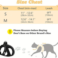 Pet Travel Play Bundle