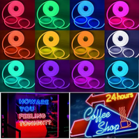 Neon LED Strip Light 5 Meter Waterproof Narrow Lamp Neon Sign Light 2835