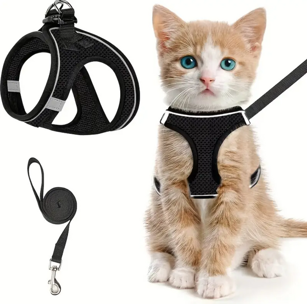 Pet Travel Play Bundle