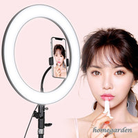 Ring Light with Stainless Steel Stand Tripod and Phone Holder - Tiktok Light