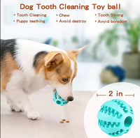 Pet Travel Play Bundle