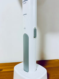 Gecko Dual-Use Electric Mosquito Racket Standing Fly Insect