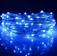 Fairy Lights LED 3m with Blinking Option - Events, Parties, Christmas