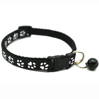 Pet Walk & Play Bundle