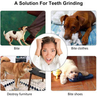 Pet Travel Play Bundle
