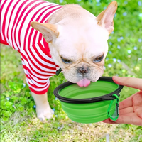 Durable Foldable Pet Feeding Bowl Compact Tpr Design for Dogs and Cats