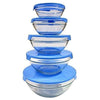 Pack of 5 Glass Bowl Set with Lids - Microwavable
