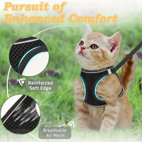 Pet Travel Play Bundle