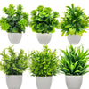 Artificial Plants with Plastics Pots Perfect Greenery for Home
