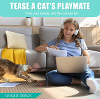 Laserlight Cat Collar, the Ultimate Feline Playtime Accessory for Endless